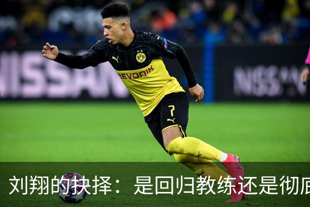 刘翔的抉择：是回归教练还是彻底离开？